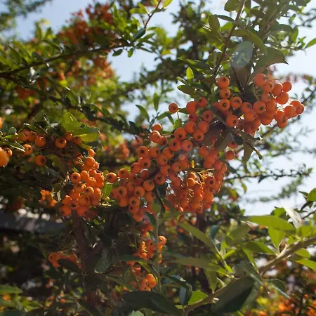 Lukic Vila Makarská